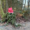 11 b Rund um Ellwangen